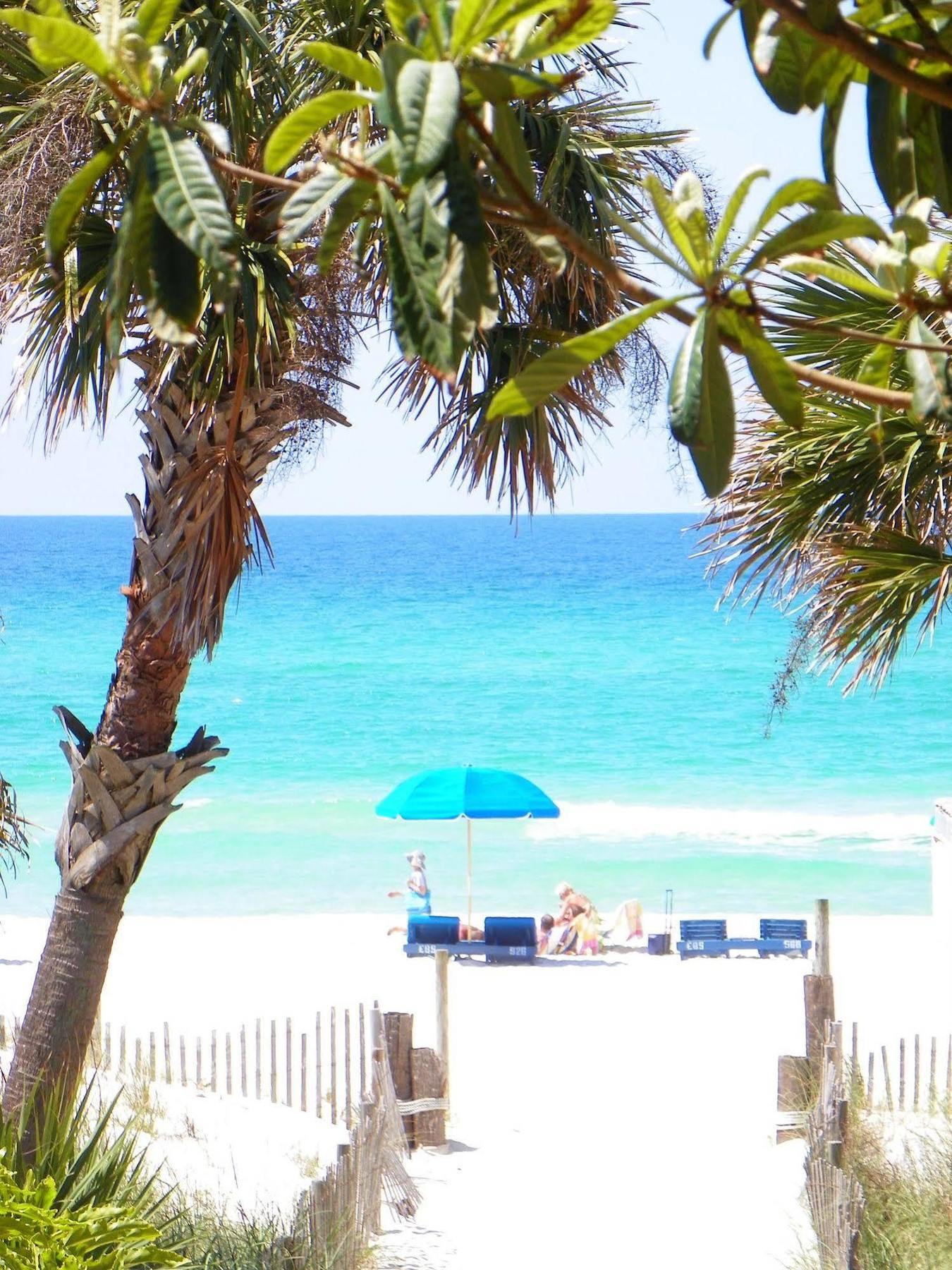 The Driftwood Lodge Panama City Beach Eksteriør billede